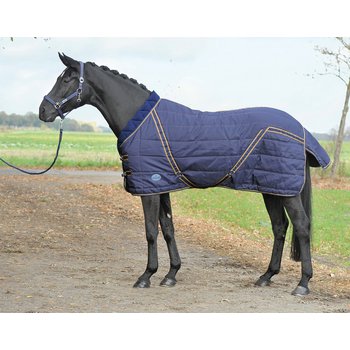 BUSSE Thermal Stable Rug ANTARCTIC WINTER