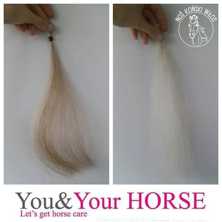 YOU & YOUR HORSE wow.... WHITE PEARL SHAMPOO white / grey horses shampoo concentrate  - Eqclusive  - 3